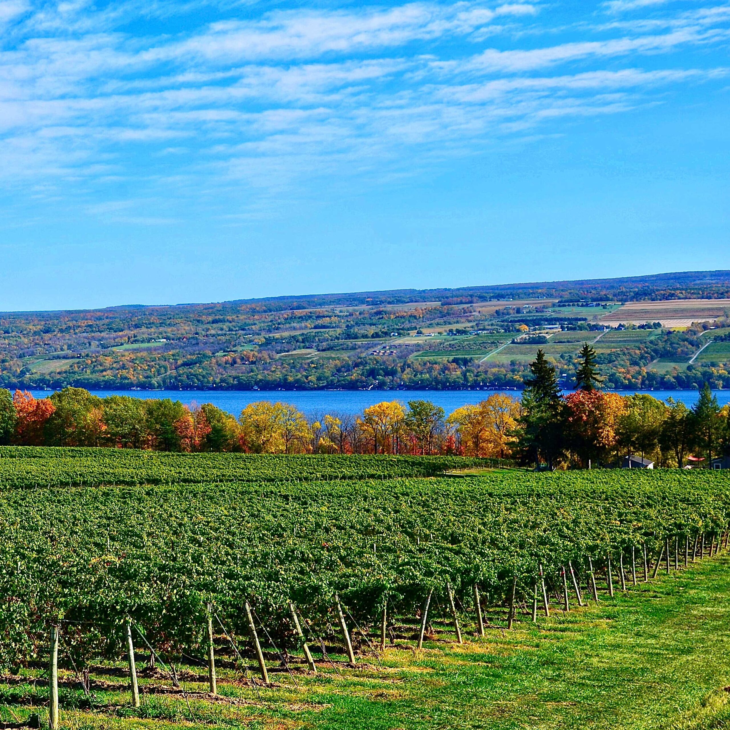 Seneca Lake Wine Tasting Cruise