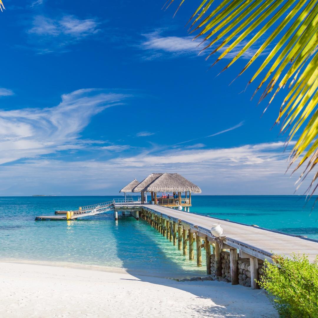 Perfect Day & Bahamas Cruise