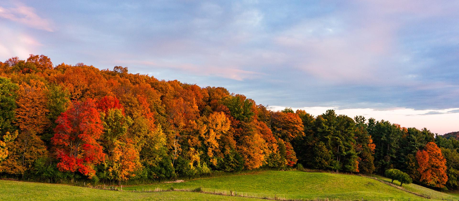  Fall Culinary Vermont Tour 